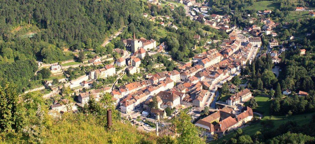 Appart Hotel Charles Sander Salins-les-Bains Bagian luar foto