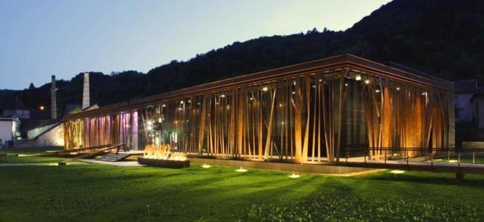 Appart Hotel Charles Sander Salins-les-Bains Bagian luar foto